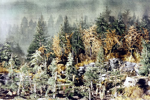 The full diorama; the backdrop is burlap painted with tree stencils.